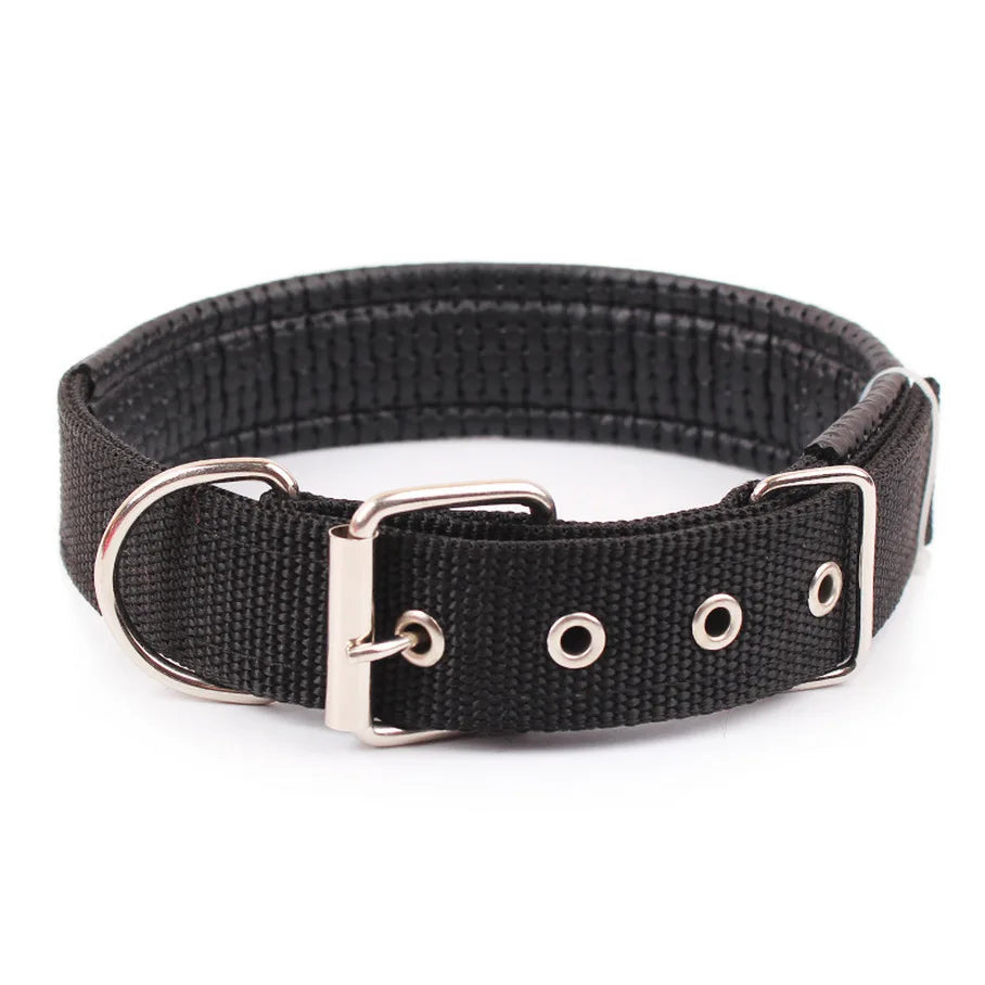 Adjustable Solid Nylon Dog Collar For Secure Daily Pet Walks