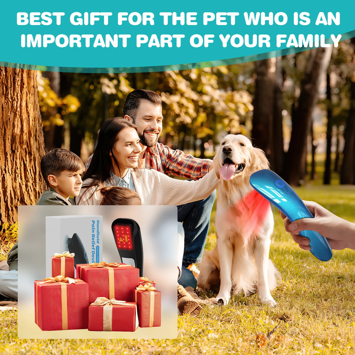 Pet Red Light Therapy Device For Cold Laser Pain Relief