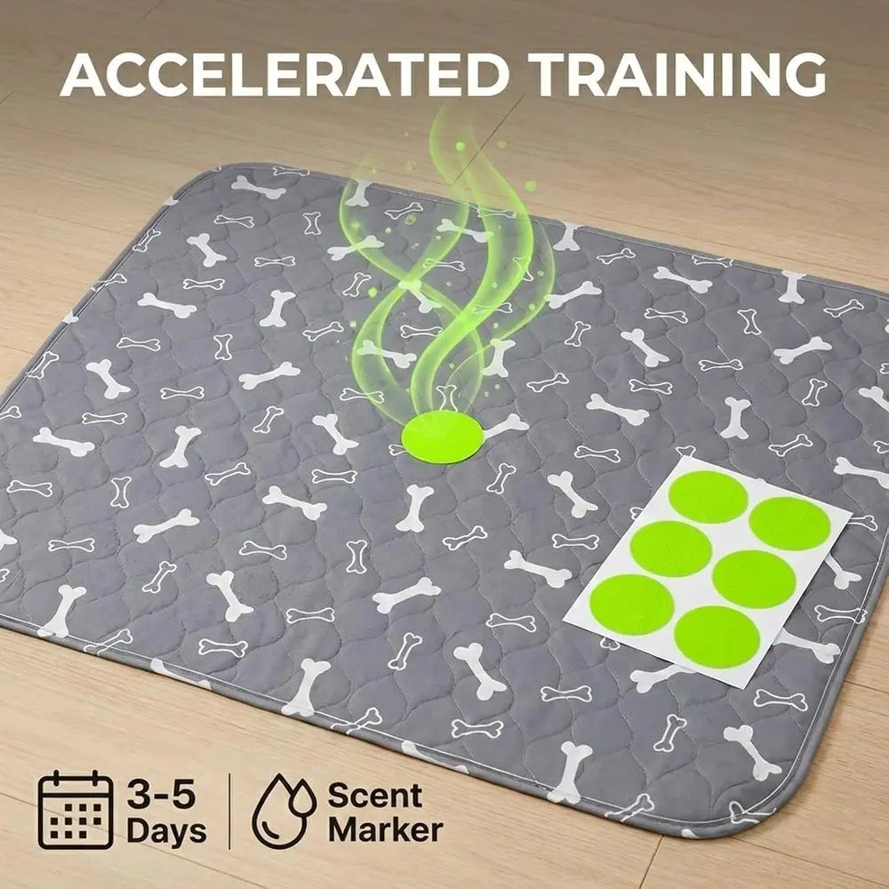 Reusable Leak Proof Puppy Pads With Pheromone Training Mats