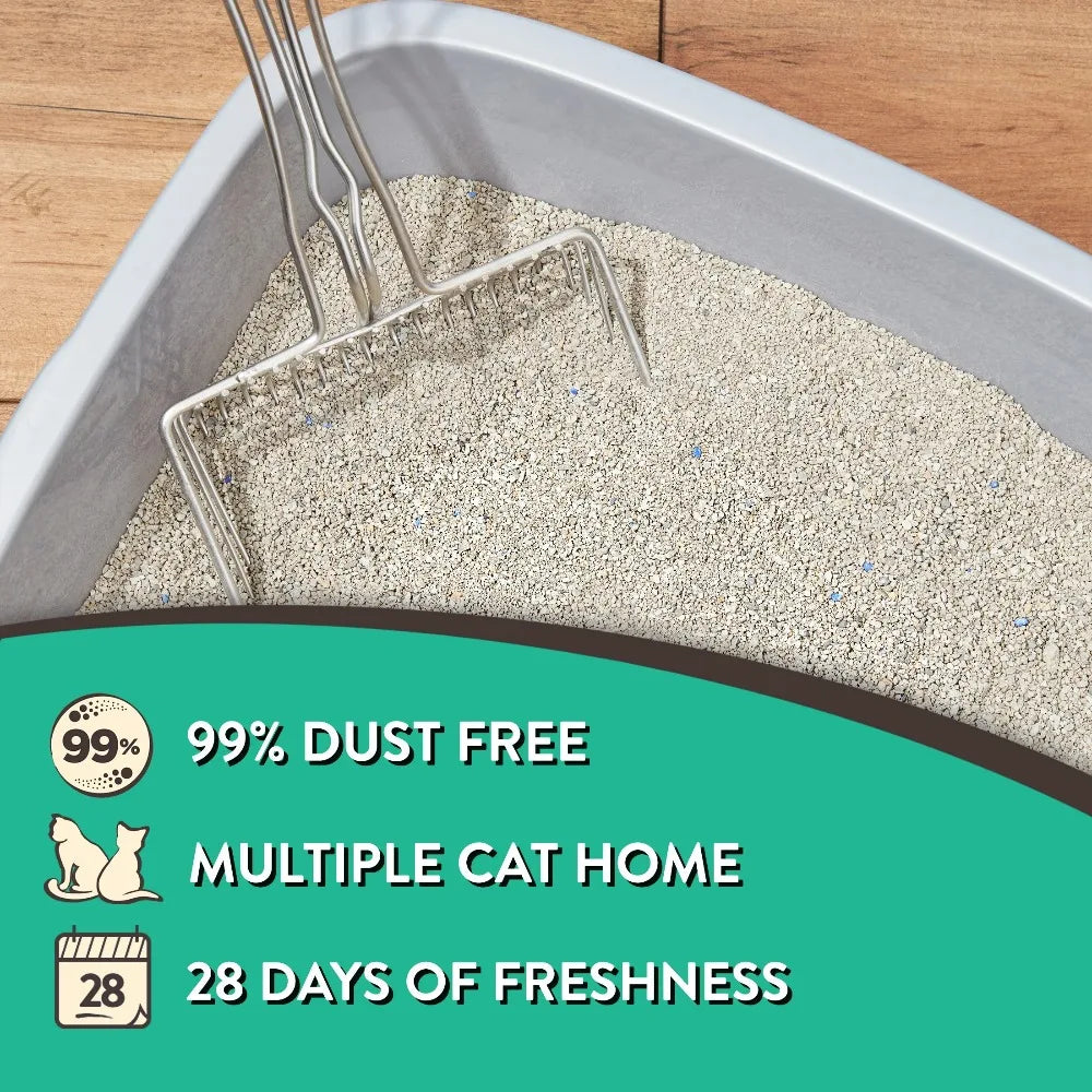 Special Kitty Clumping Cat Litter Fresh Scent Odor Control Formula