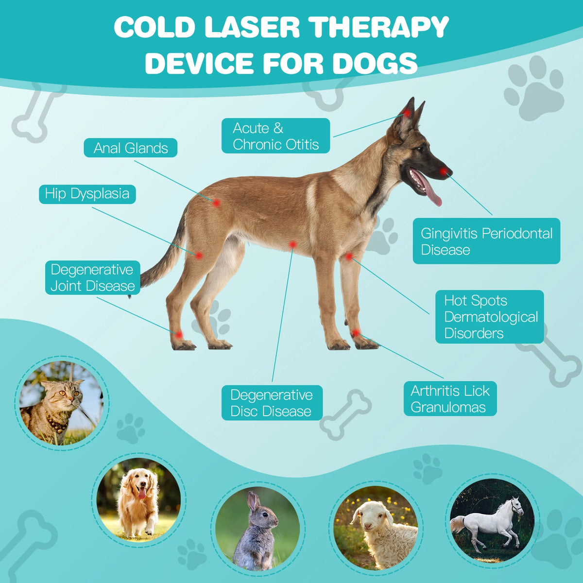 Pet Red Light Therapy Device For Cold Laser Pain Relief