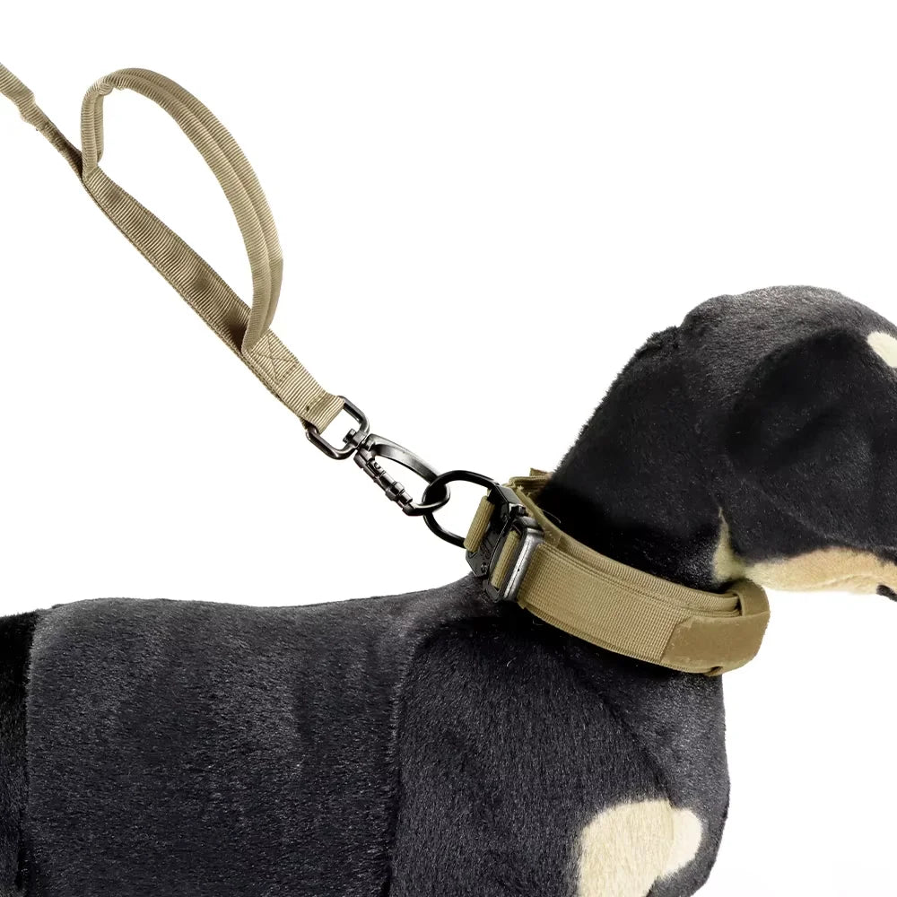 Petavel Adjustable Dog Leash With Quick Release And Dual Handles