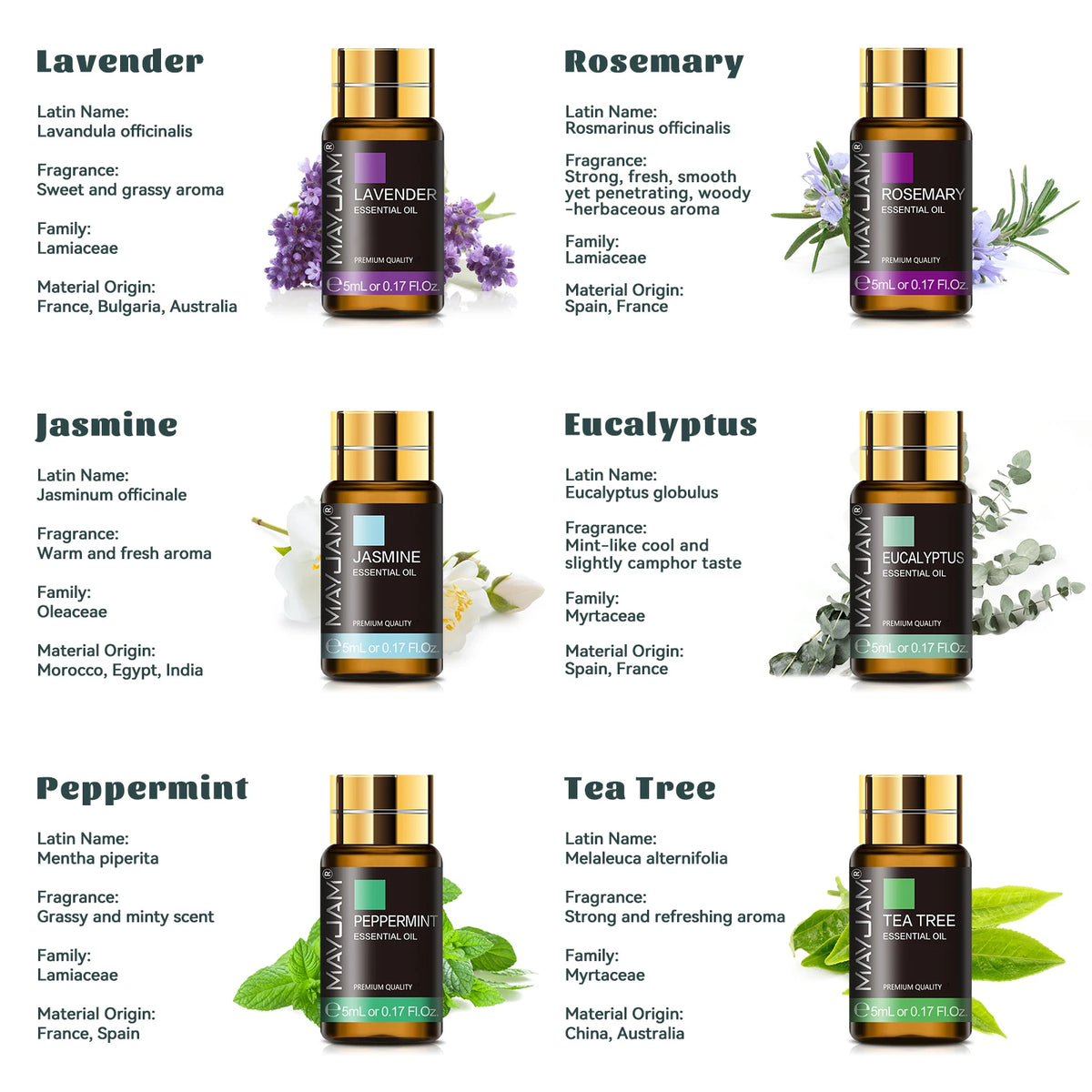 MAYJAM 35 Essential Oils Aromatherapy Collection Gift Set