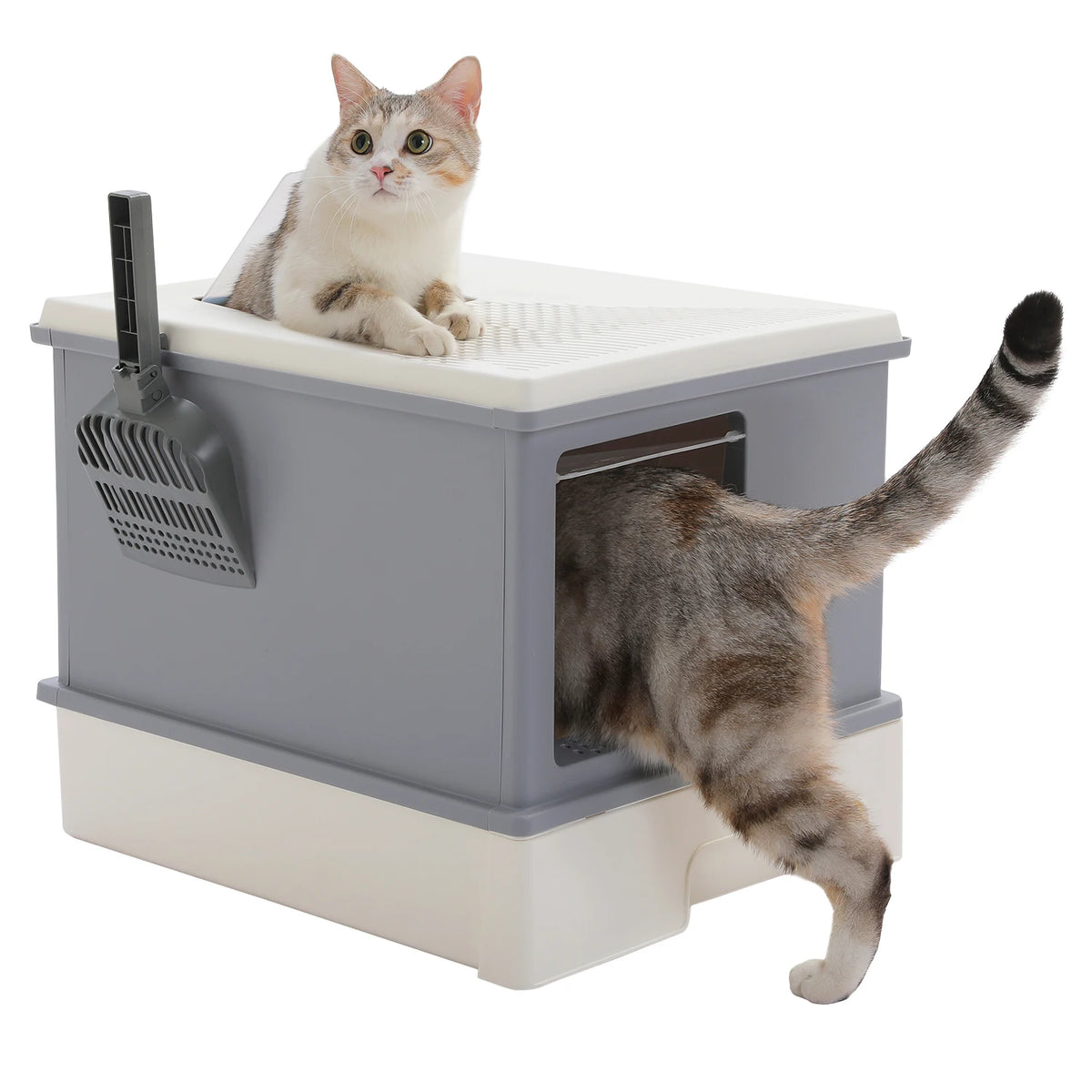 Premium Enclosed Cat Litter Box With Scoop And Removable Tray