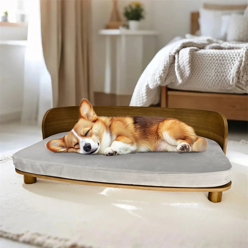Borwart Elevated Pet Sofa Eucalyptus Couch Bed With Cushion