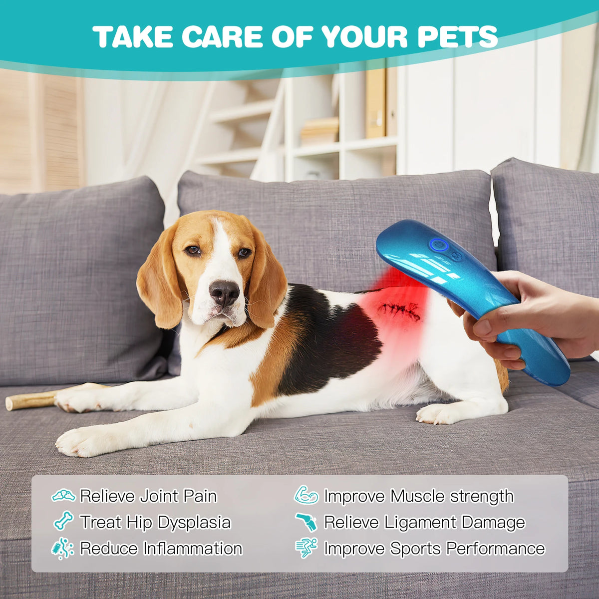 Pet Red Light Therapy Device For Cold Laser Pain Relief