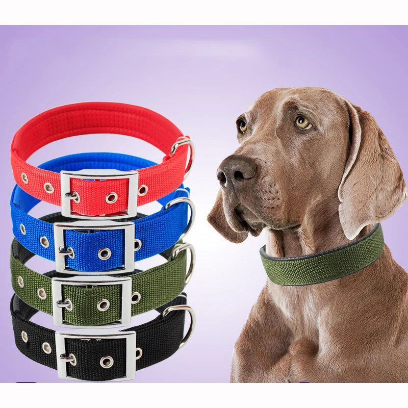 Adjustable Solid Nylon Dog Collar For Secure Daily Pet Walks