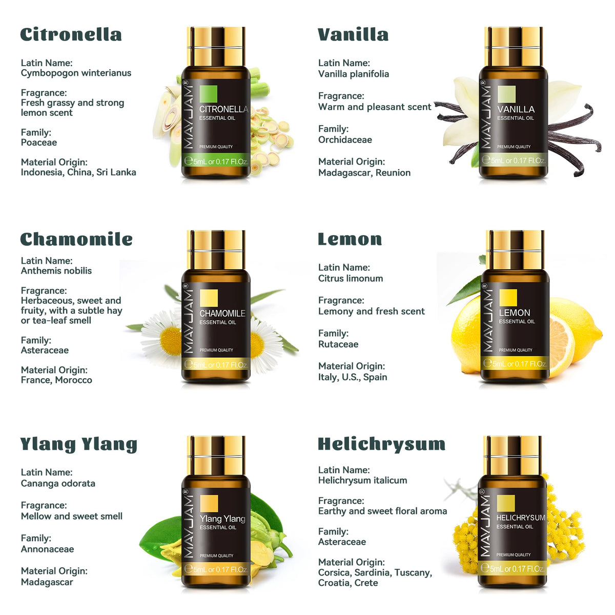 MAYJAM 35 Essential Oils Aromatherapy Collection Gift Set