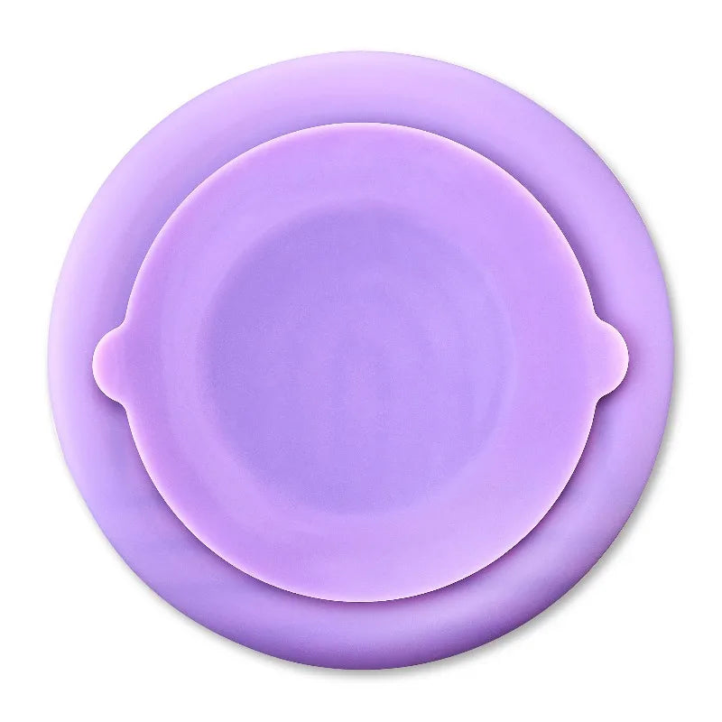 Silicone Slow Feeder Bowl For Pets With Healthy Interactive Mealtimes