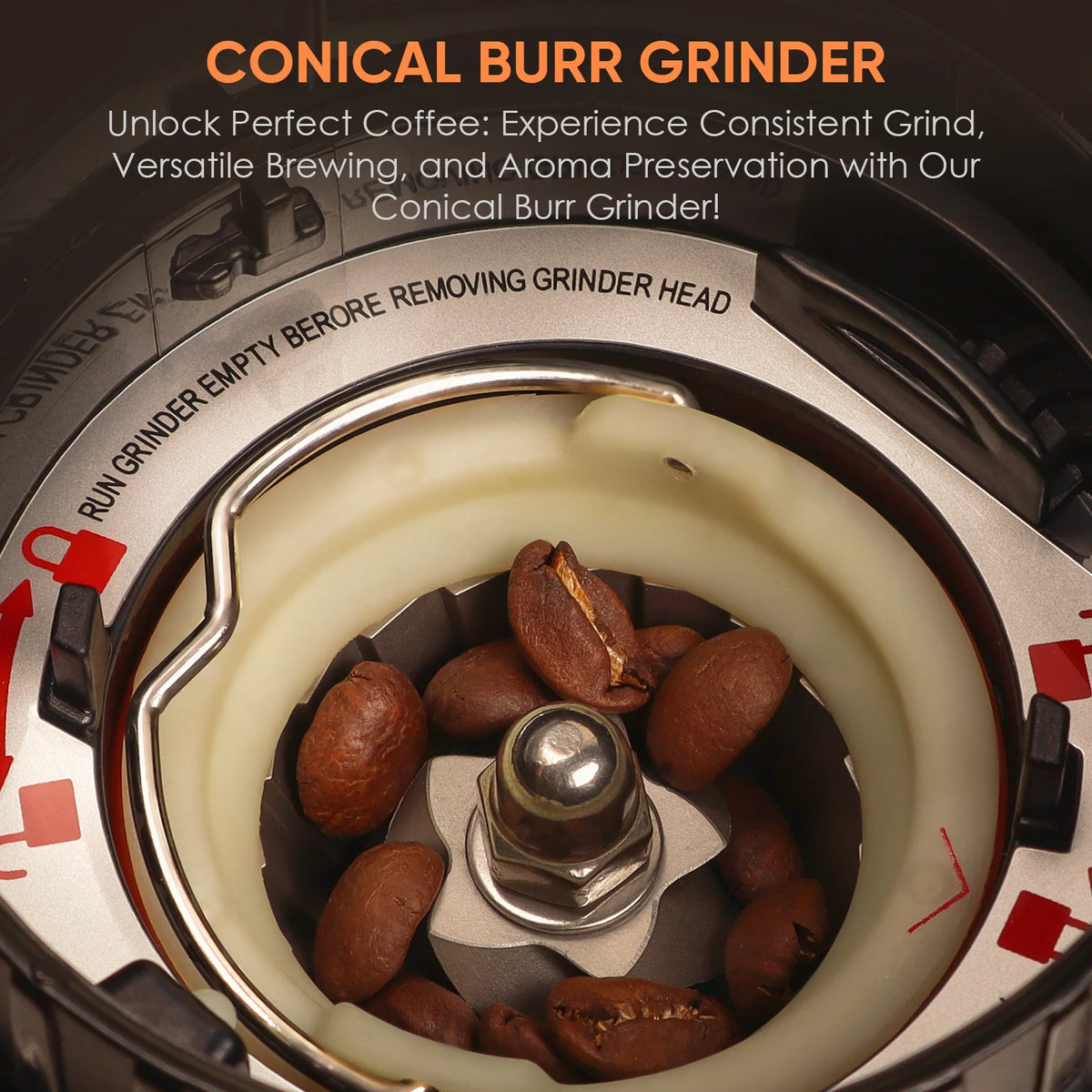 BioloMix Electric Conical Burr Coffee Grinder Adjustable Settings