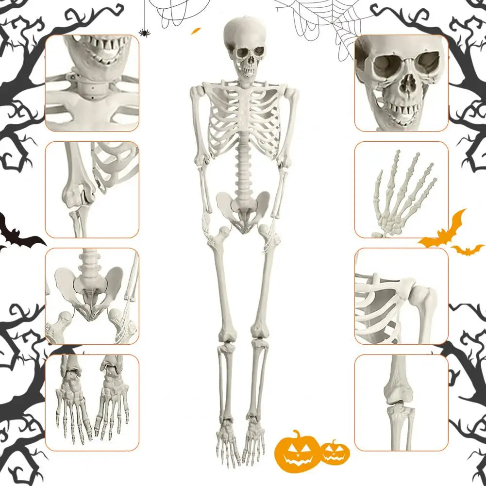 Poseable Plastic Skeleton Prop For Halloween Party Decoration