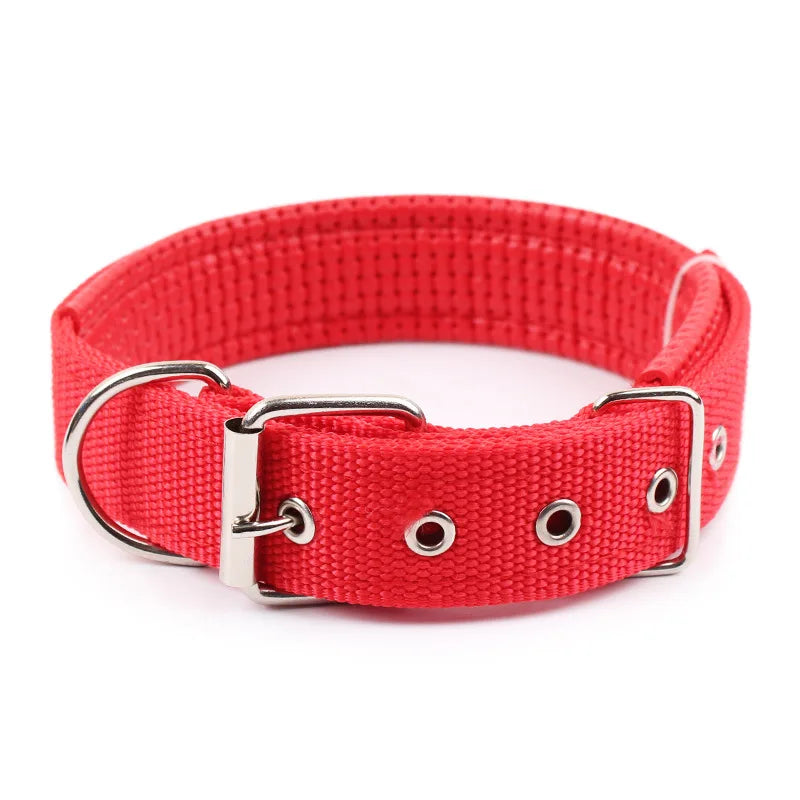 Adjustable Solid Nylon Dog Collar For Secure Daily Pet Walks