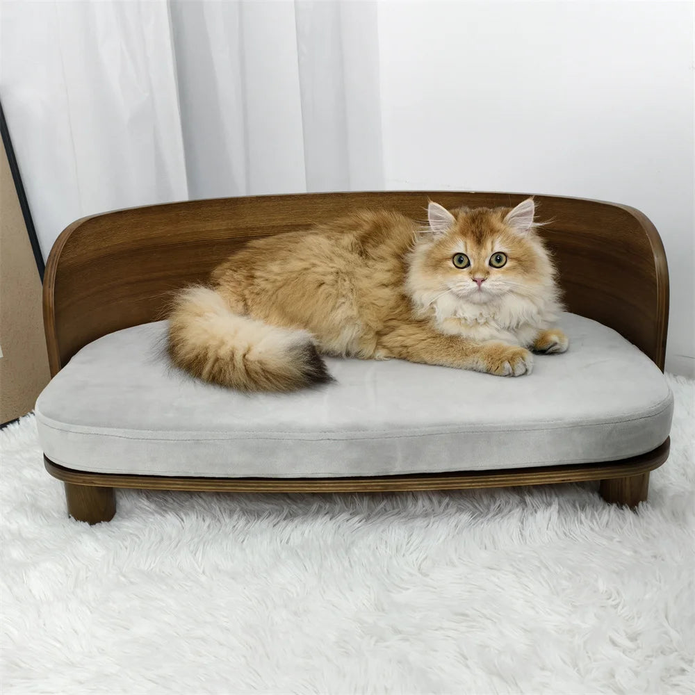 Borwart Elevated Pet Sofa Eucalyptus Couch Bed With Cushion