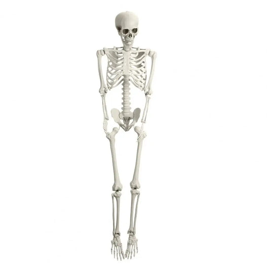 Poseable Plastic Skeleton Prop For Halloween Party Decoration