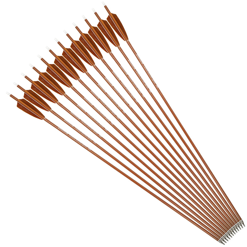 Ameyxgs Mixed Carbon Archery Arrows With Shield Turkey Feathers