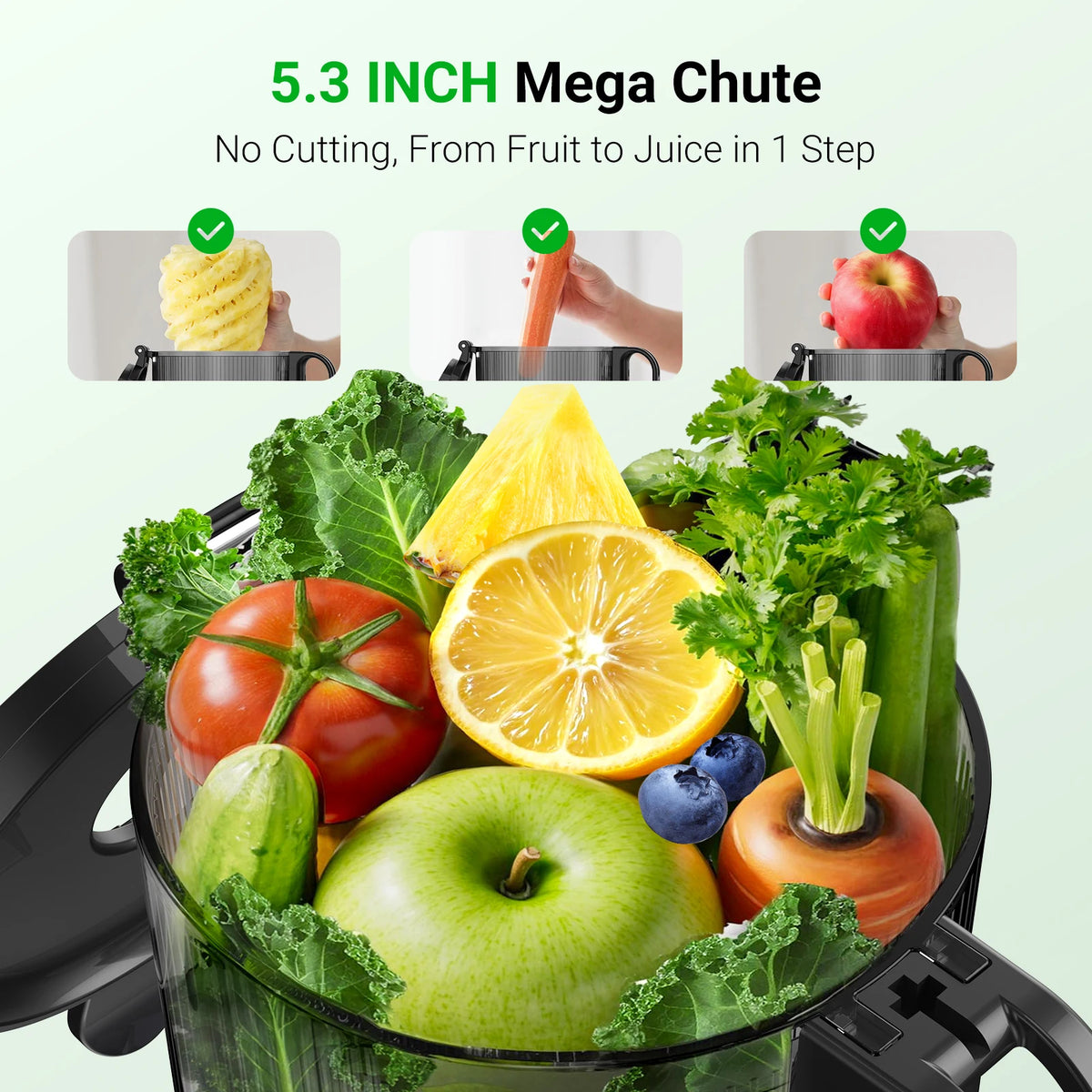 Aeitto Slow Cold Press Masticating Juicer With Large Chute
