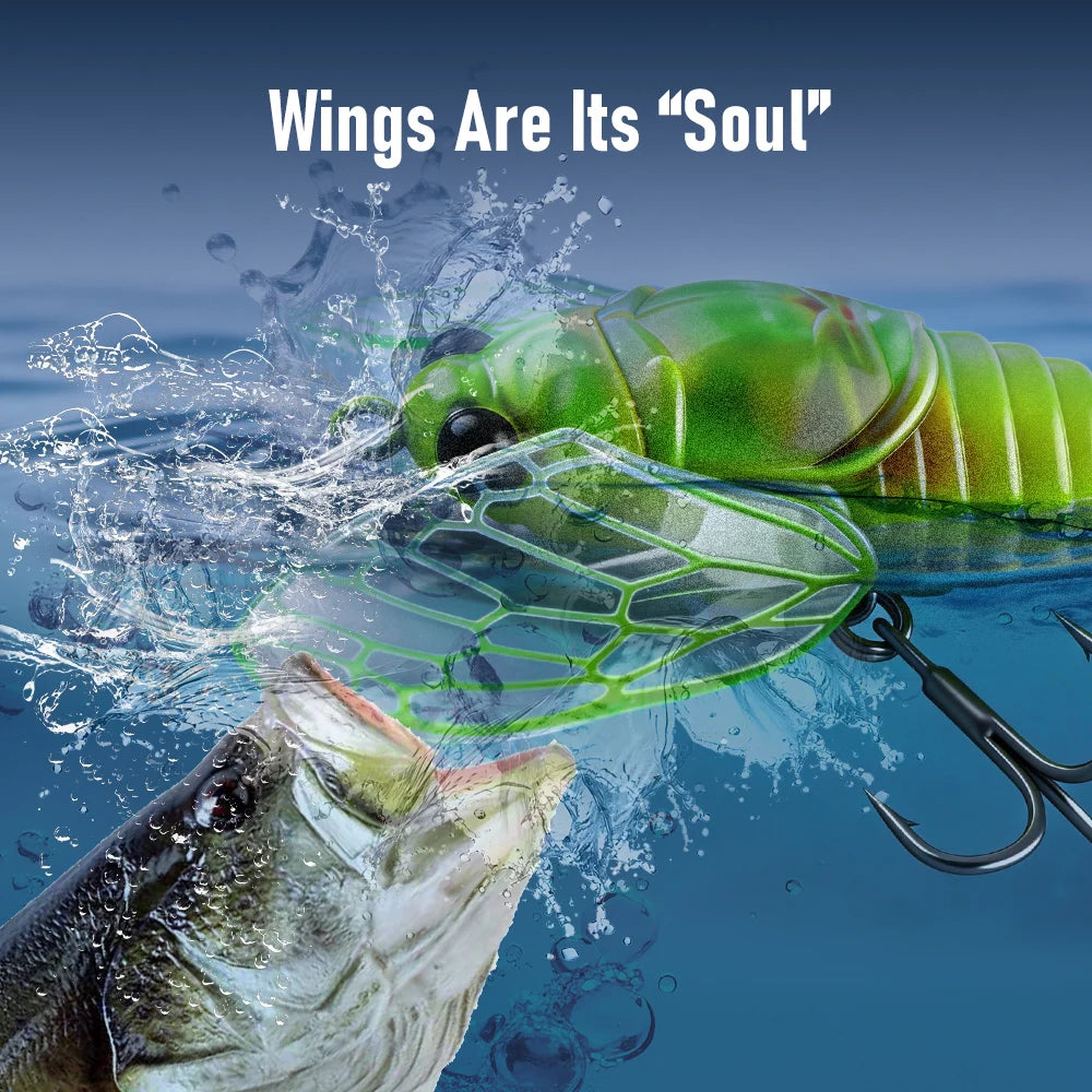 Kingdom 3 Pack Topwater Cicada Artificial Hard Fishing Lure