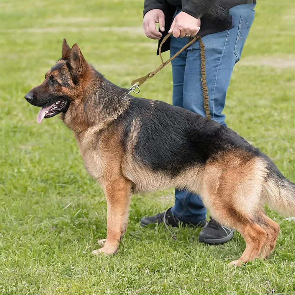 Petavel Adjustable Dog Leash With Quick Release And Dual Handles