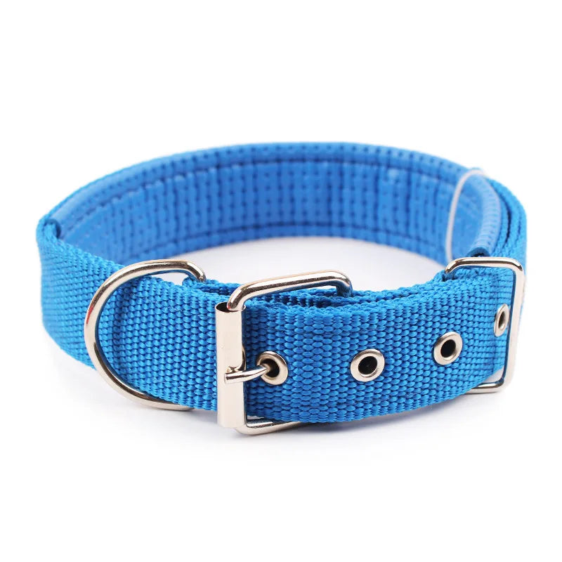 Adjustable Solid Nylon Dog Collar For Secure Daily Pet Walks