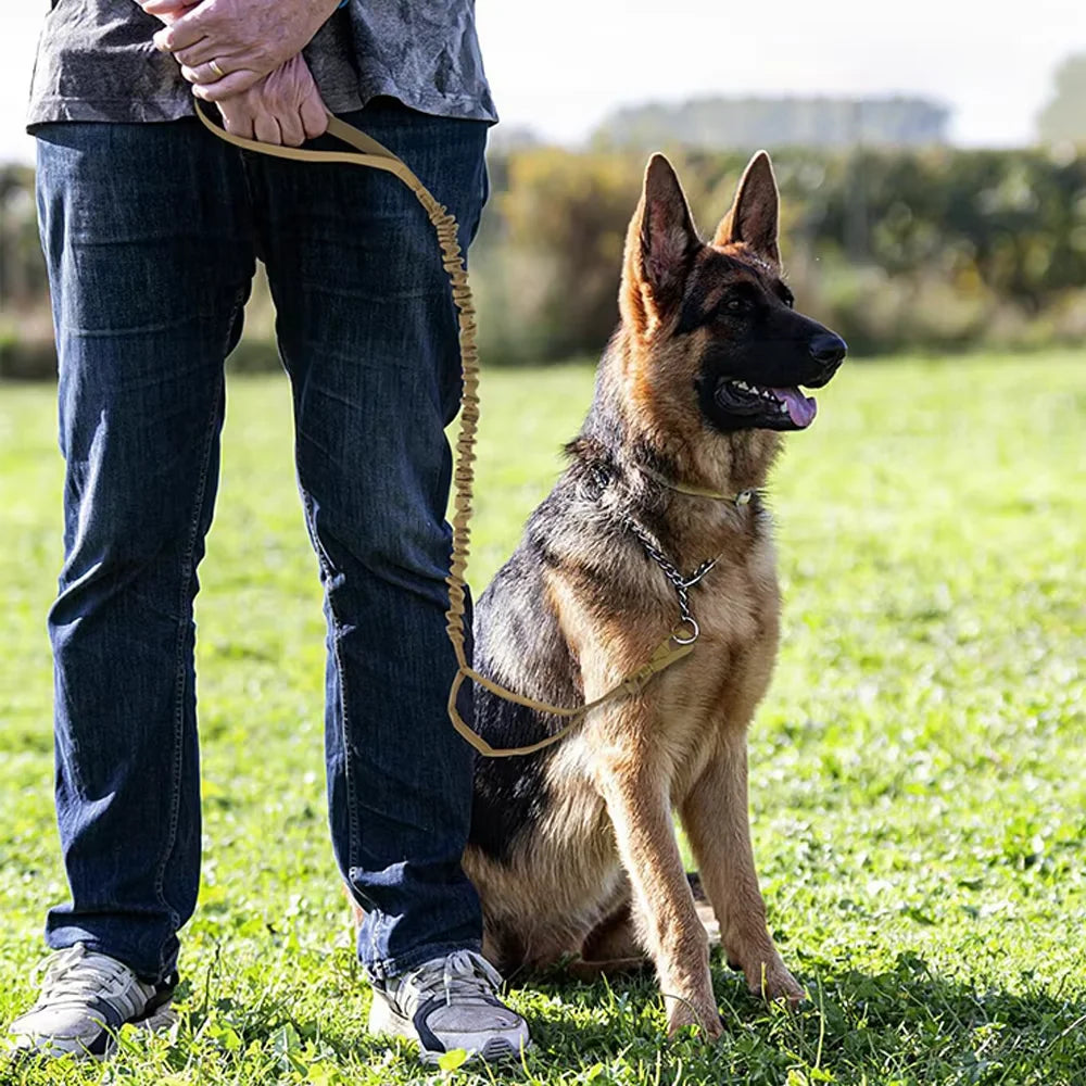 Petavel Adjustable Dog Leash With Quick Release And Dual Handles